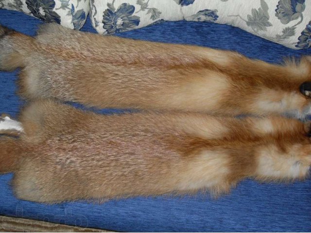 Продаются шкурки лисы в городе Клин, фото 2, стоимость: 1 500 руб.