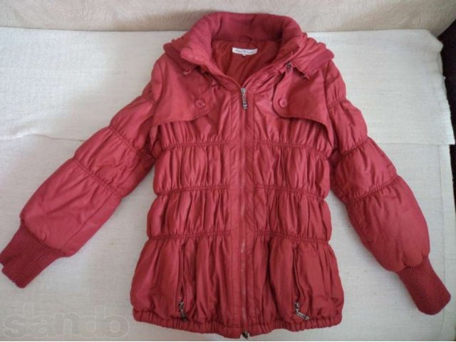 Продам куртки и ветровку для беременной в городе Омск, фото 1, Одежда для беременных