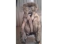 Шуба из меха волка в городе Екатеринбург, фото 5, стоимость: 30 000 руб.