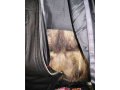 Мужская куртка в городе Калуга, фото 1, Калужская область