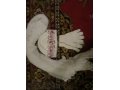 Продам зимние шарф,шапку и перчатки.(комплект) в городе Челябинск, фото 1, Челябинская область