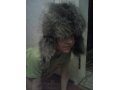 Продается шапка-ушанка на зиму из чернобурки и натуральной кожи в городе Воркута, фото 1, Коми