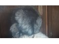 Шикарная шапка из меха чернобурой лисы, новая в городе Чита, фото 2, стоимость: 7 000 руб.