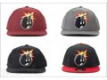 Кепки snapback The Hundreds в городе Санкт-Петербург, фото 1, Ленинградская область