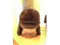 Продам норковую шапку не дорого в городе Пермь, фото 1, Пермский край