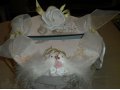Продам сундучок для денюжек в городе Саратов, фото 3, Свадебные аксессуары