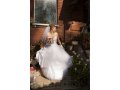 Красивое свадебное платье в городе Томск, фото 1, Томская область