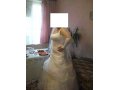 Продам свадебное платье! в городе Армавир, фото 1, Краснодарский край