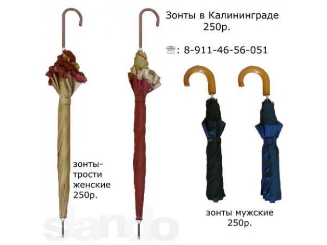 Зонты в Калининграде 250р. в городе Калининград, фото 1, стоимость: 250 руб.