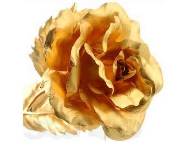 Золотая роза - подарок класса Luxe в городе Благовещенск, фото 3, Сувениры и подарки