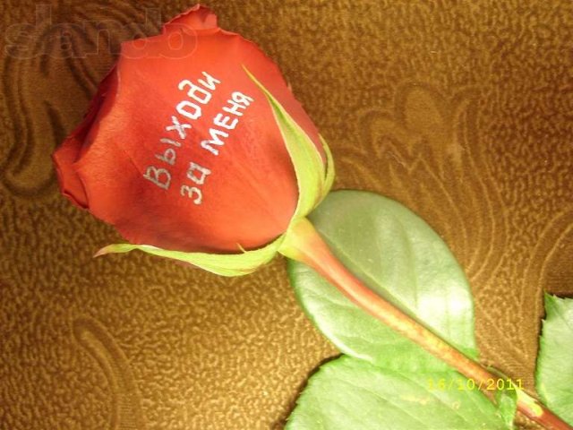 Красивый и оригинальный подарок ко Дню Св. Валентина. в городе Майкоп, фото 5, Сувениры и подарки