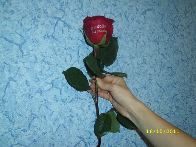 Красивый и оригинальный подарок ко Дню Св. Валентина. в городе Майкоп, фото 6, Адыгея