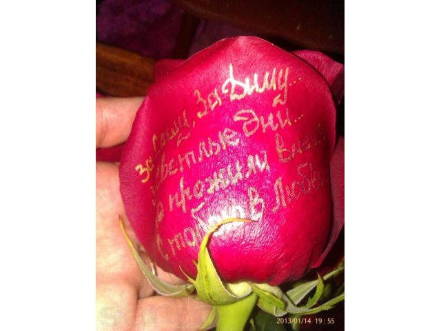 Красивый и оригинальный подарок ко Дню Св. Валентина. в городе Майкоп, фото 7, стоимость: 50 руб.