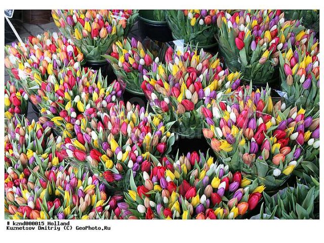 Корпоративные подарки и цветы на 8 марта в городе Екатеринбург, фото 2, Свердловская область