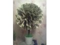 Подарок денежное дерево или кто хочет дружить с деньгами в городе Первоуральск, фото 1, Свердловская область