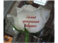 наклейки на цветы в городе Казань, фото 1, Татарстан