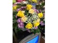 Цветы и букеты в городе Новочеркасск, фото 5, стоимость: 35 руб.