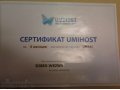 Сертификат UMIHOST в городе Санкт-Петербург, фото 1, Ленинградская область