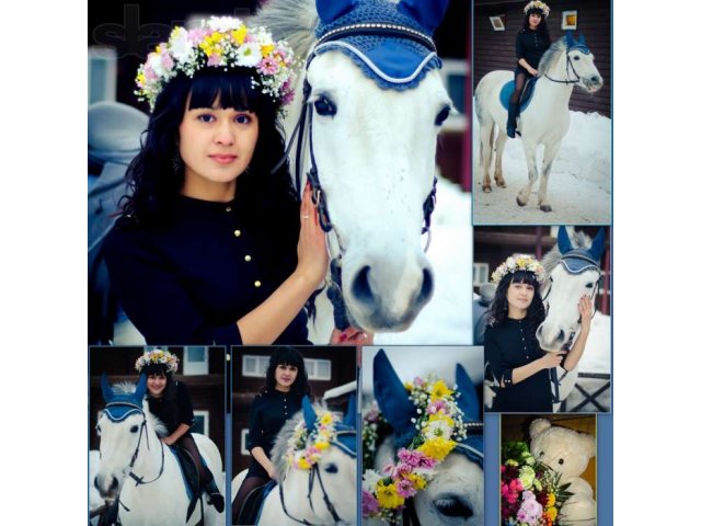 Подарочный сертификат фотосессия с лошадьми в городе Оренбург, фото 1, Подарочные сертификаты
