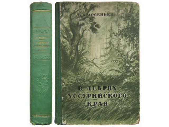 Иванов Дебри Купить Книгу