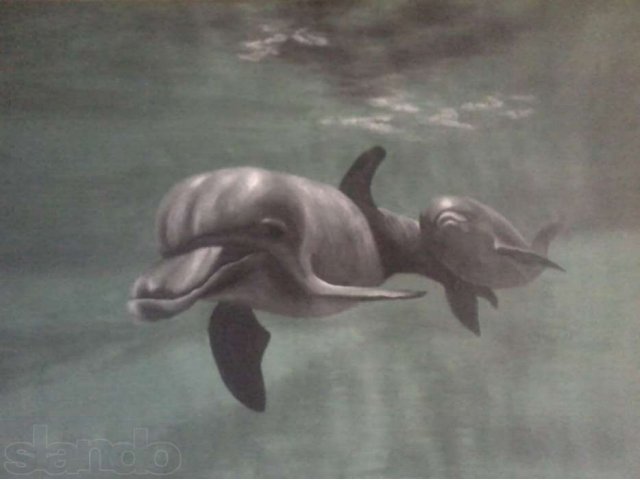 Дельфины. в городе Астрахань, фото 1, стоимость: 10 000 руб.