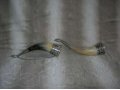 2 Рога инкрустированные кубачинским серебром в городе Екатеринбург, фото 1, Свердловская область
