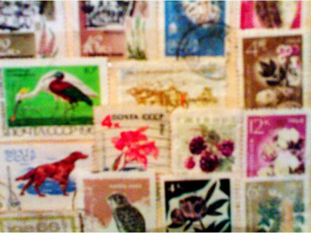 Коллекция марок начала 60-70 г.г. в альбоме в городе Уфа, фото 2, Филателия
