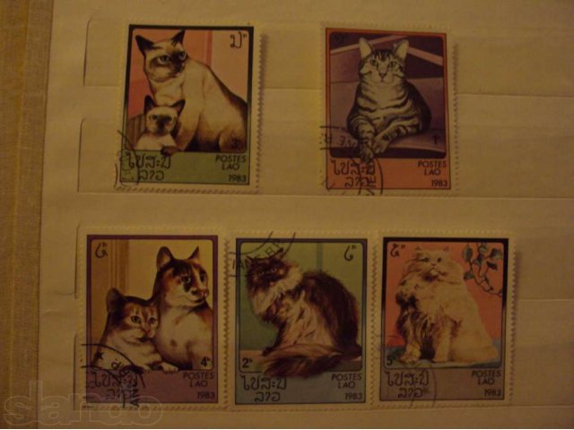 продам марки Кошки в городе Нижний Тагил, фото 1, стоимость: 50 руб.