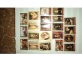 Продам срочно колекцию марок! СССР и другие страны. в городе Новосибирск, фото 1, Новосибирская область