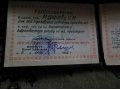 Знак почётному железнодорожнику 55г в городе Нижний Новгород, фото 2, стоимость: 15 000 руб.