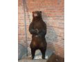Продам чучело медведя в городе Томск, фото 1, Томская область