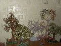 Деревья из бисера ручной работы. в городе Краснодар, фото 3, Поделки и рукоделие