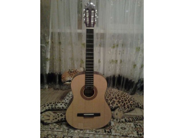 гитара с чехлом в отличном состоянии вс саратове в городе Саратов, фото 1, стоимость: 2 500 руб.
