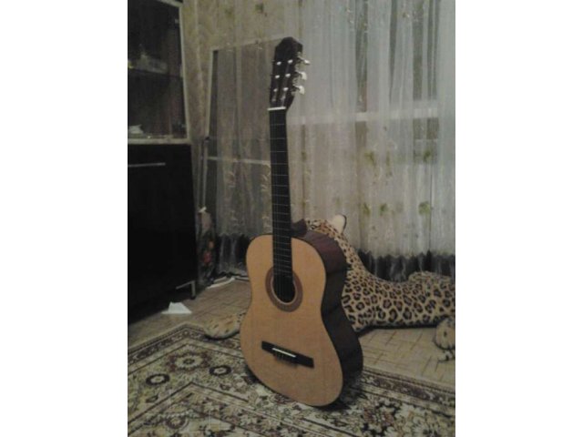 гитара с чехлом в отличном состоянии вс саратове в городе Саратов, фото 3, Саратовская область