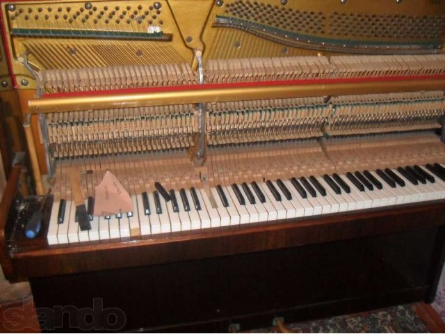 Профессиональная настройка Пианино и Роялей. в городе Брянск, фото 4, Пианино, фортепиано, рояли
