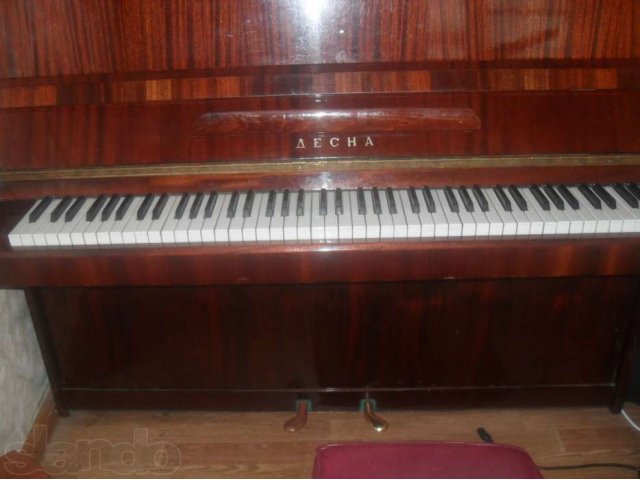 Настройка Пианино и Роялей. в городе Брянск, фото 3, стоимость: 1 200 руб.