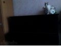 Продам фортепиано Красный октябрь в городе Воронеж, фото 1, Воронежская область
