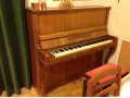 Пианино для обучения музыке Беларусь - бесплатно в городе Санкт-Петербург, фото 1, Ленинградская область