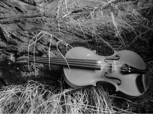 продам скрипку 4/4 в городе Красноярск, фото 1, стоимость: 15 000 руб.