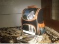 Продам школьный рюкзак в городе Ефремов, фото 1, Тульская область
