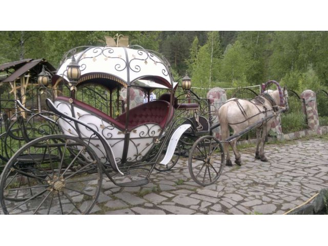 Продам карету в городе Горно-Алтайск, фото 1, стоимость: 290 000 руб.