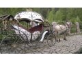 Продам карету в городе Горно-Алтайск, фото 1, Алтай