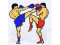 КикбоксингГ, К1,Тайский бокс, Смешаные единоборства, в городе Липецк, фото 1, Липецкая область