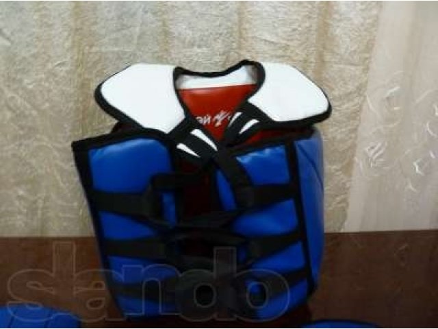 Защитный жилет и щитки для занятий единоборствами (Рэй спорт) в городе Белгород, фото 2, Белгородская область