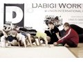 Школа танцев Dabigi Work Group в городе Томск, фото 1, Томская область