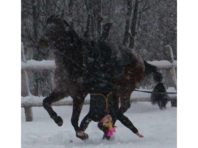 Акция от КТГ Альфа! в городе Тверь, фото 5, Тверская область