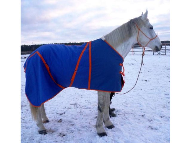 попона на лошадь в городе Ижевск, фото 1, стоимость: 1 700 руб.