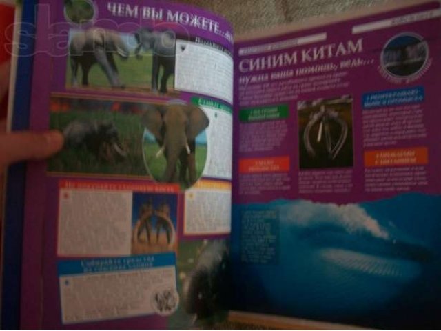 Папки журналов Животные нашей планеты в городе Калининград, фото 4, стоимость: 500 руб.