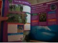 Папки журналов Животные нашей планеты в городе Калининград, фото 4, Калининградская область