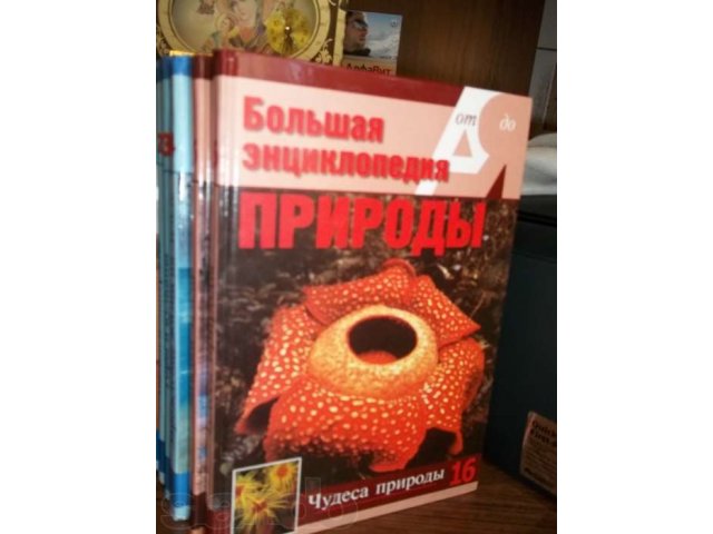 Продам Большую Энциклопедию природы в 16 книгах в городе Нижний Новгород, фото 3, Нижегородская область